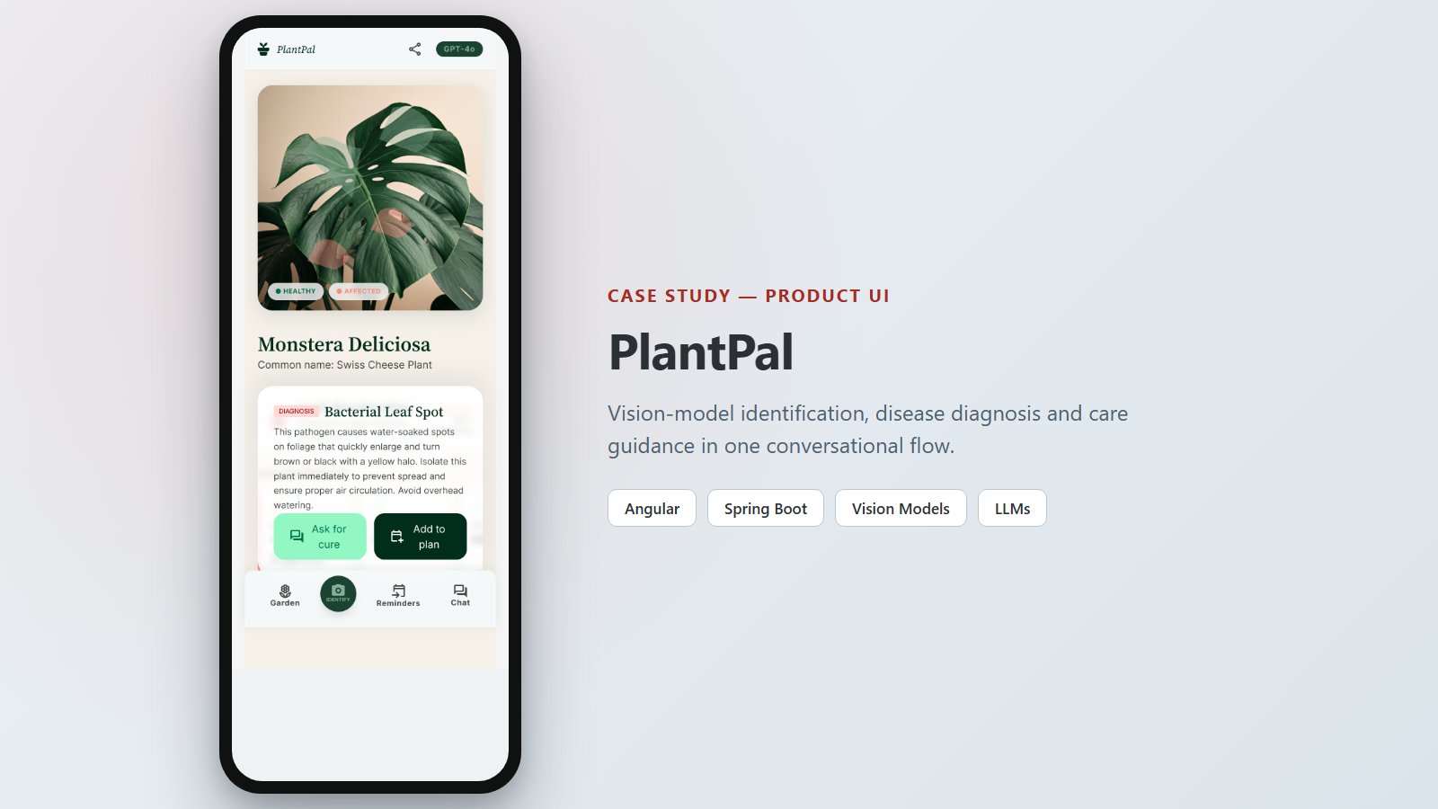 PlantPal identification result for a Monstera Deliciosa, showing a bacterial leaf spot diagnosis with "Ask for cure" and "Add to plan" actions.